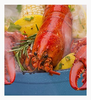 Steamed-Lobsters_8a1bb9af01647958cde287d731c4ddca-min