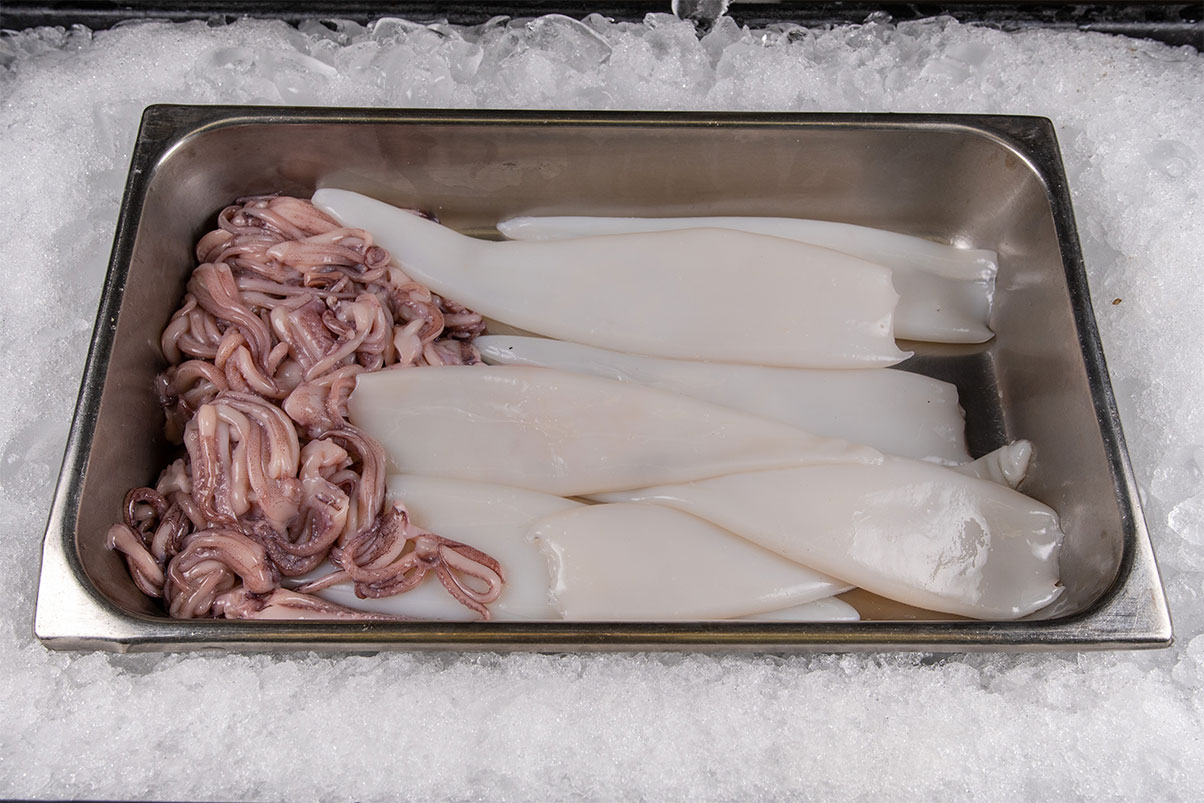 Squid-(Tubes-&-Tenticles)